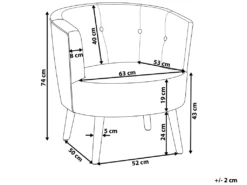 Fauteuil Club En Tissu Gris Clair ODENZEN -Fauteuil Boutique fauteuil 11709795