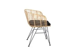 Fauteuil Rotin Naturel/Métal - PAVY -Fauteuil Boutique fauteuil 17636705