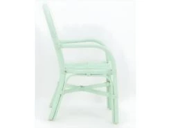 Fauteuil Enfant En Rotin Joseph Vert -Fauteuil Boutique fauteuil 18064753