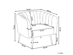 Fauteuil Club En Velours Gris Clair LACONIA -Fauteuil Boutique fauteuil 20115263