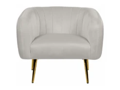 Fauteuil Club En Velours Gris Clair LACONIA -Fauteuil Boutique fauteuil 20115265