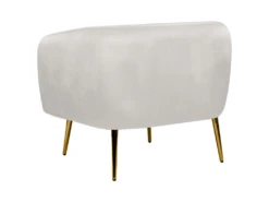 Fauteuil Club En Velours Gris Clair LACONIA -Fauteuil Boutique fauteuil 20115267