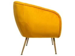 Fauteuil Boutique -Fauteuil Boutique fauteuil 9487913